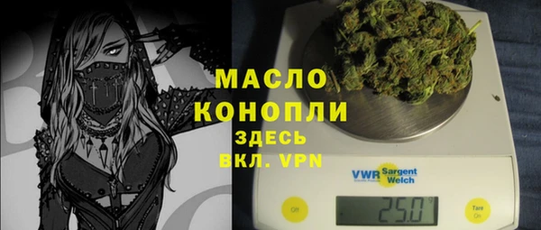 прущий лед Дмитриев