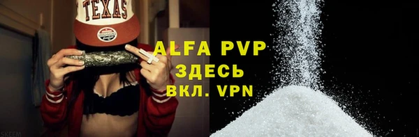 прущий лед Дмитриев