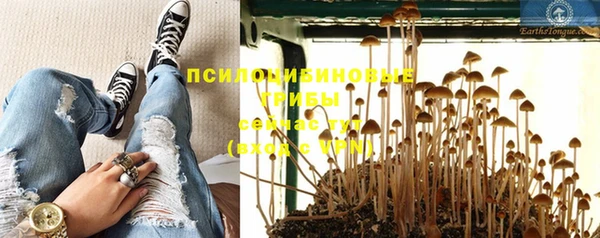 мяу мяу мука Дмитровск