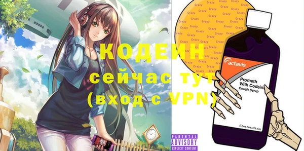прущий лед Дмитриев