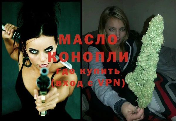 прущий лед Дмитриев