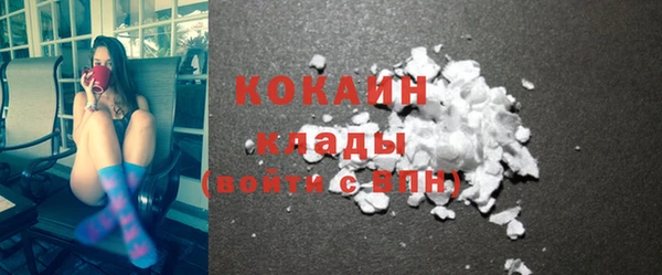 прущий лед Дмитриев