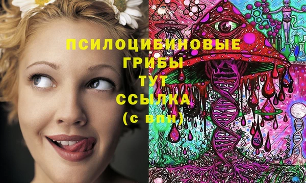 прущий лед Дмитриев
