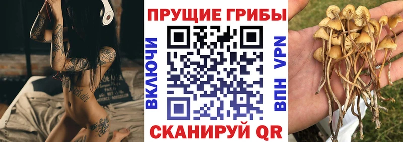 Купить  Киреевск  Псилоцибиновые грибы GOLDEN TEACHER 